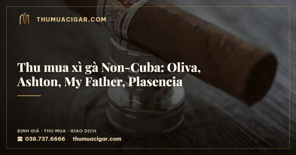 Thu mua xì gà Non-Cuba: Oliva, Ashton, My Father, Plasencia — thu mua cigar giá cao, thumuacigar.com