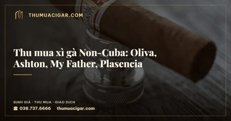 Thu mua xì gà Non-Cuba: Oliva, Ashton, My Father, Plasencia, thu mua cigar giá cao, thumuacigar.com