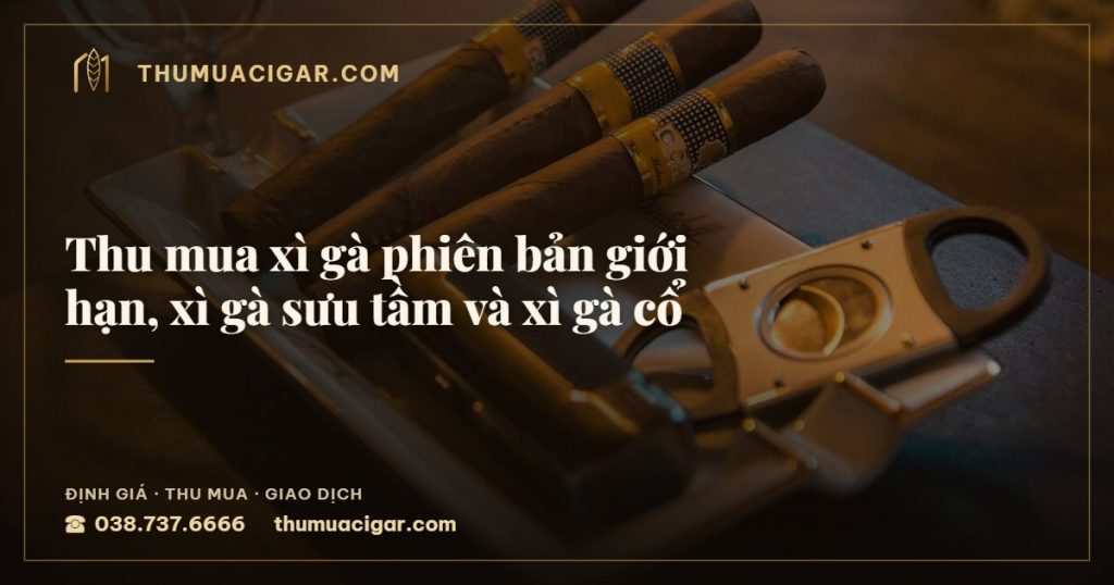 Thu mua xì gà phiên bản giới hạn, xì gà sưu tầm và xì gà cổ — thu mua cigar giá cao, thumuacigar.com