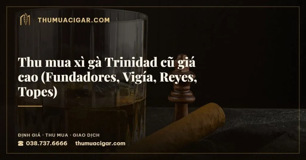 Thu mua xì gà Trinidad cũ giá cao (Fundadores, Vigía, Reyes, Topes), thu mua cigar giá cao, thumuacigar.com