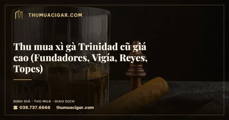 Thu mua xì gà Trinidad cũ giá cao (Fundadores, Vigía, Reyes, Topes), thu mua cigar giá cao, thumuacigar.com