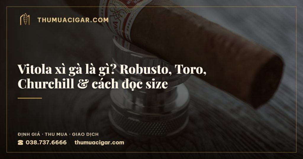 Vitola xì gà là gì? Robusto, Toro, Churchill & cách đọc size — thu mua cigar giá cao, thumuacigar.com