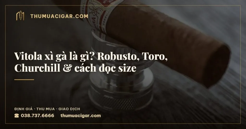 Vitola xì gà là gì? Robusto, Toro, Churchill & cách đọc size, thu mua cigar giá cao, thumuacigar.com