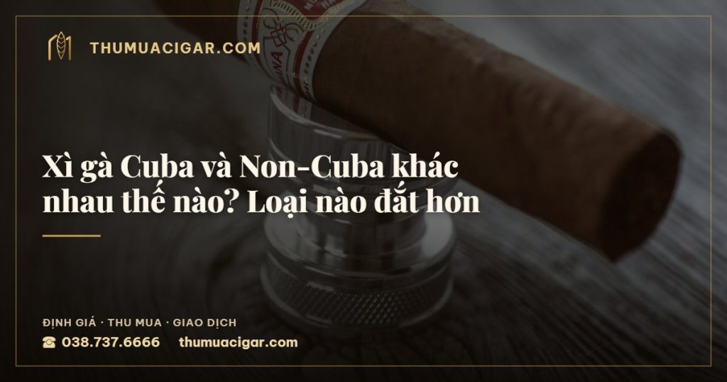 Xì gà Cuba và Non-Cuba khác nhau thế nào? Loại nào đắt hơn — thu mua cigar giá cao, thumuacigar.com