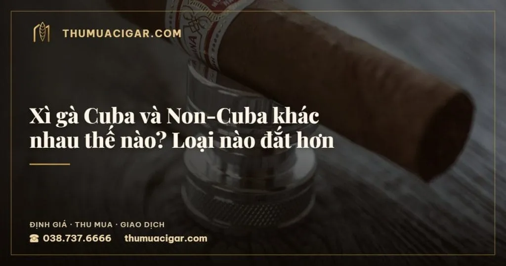 Xì gà Cuba và Non-Cuba khác nhau thế nào? Loại nào đắt hơn, thu mua cigar giá cao, thumuacigar.com