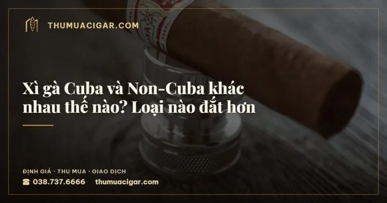 Xì gà Cuba và Non-Cuba khác nhau thế nào? Loại nào đắt hơn, thu mua cigar giá cao, thumuacigar.com