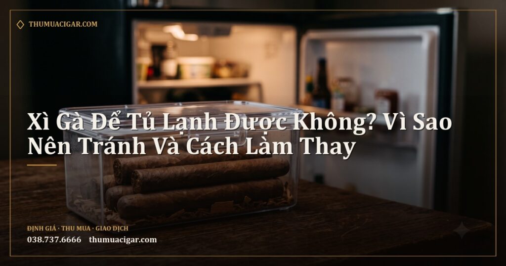 Xì gà trong hộp nhựa kín đặt cạnh tủ lạnh đang mở