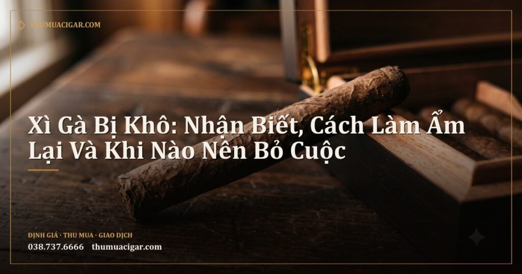 Điếu xì gà khô nứt áo lá bên cạnh humidor gỗ