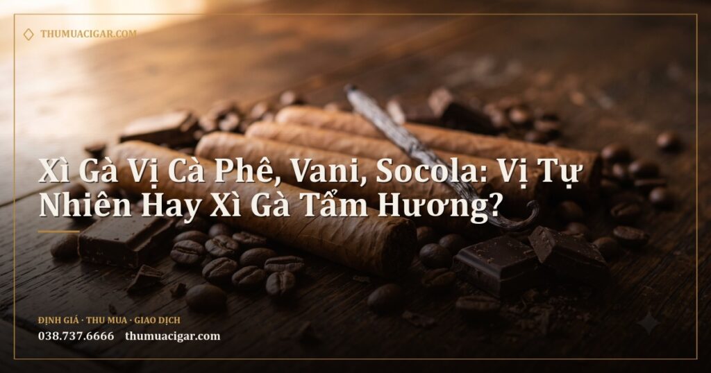 Xì gà cạnh hạt cà phê, socola đen và thanh vani