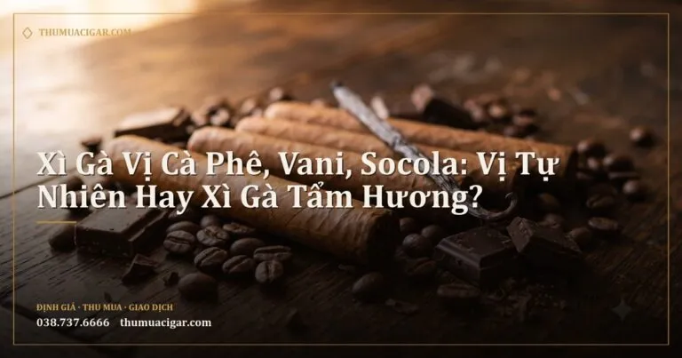 Xì gà cạnh hạt cà phê, socola đen và thanh vani