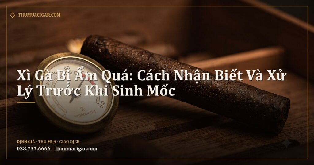 Điếu xì gà sẫm màu có giọt nước cạnh ẩm kế chỉ độ ẩm cao