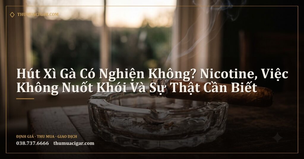 Điếu xì gà cháy dở trên gạt tàn thủy tinh