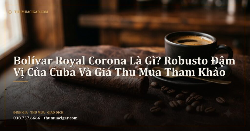 Điếu xì gà Robusto trên tấm da cạnh tách cà phê đen