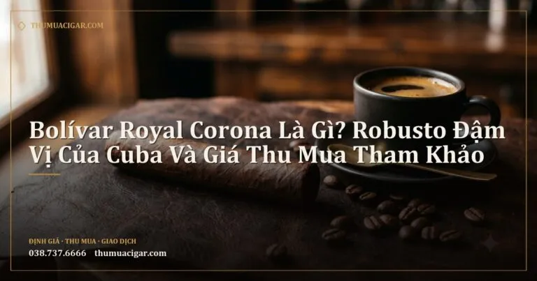 Điếu xì gà Robusto trên tấm da cạnh tách cà phê đen