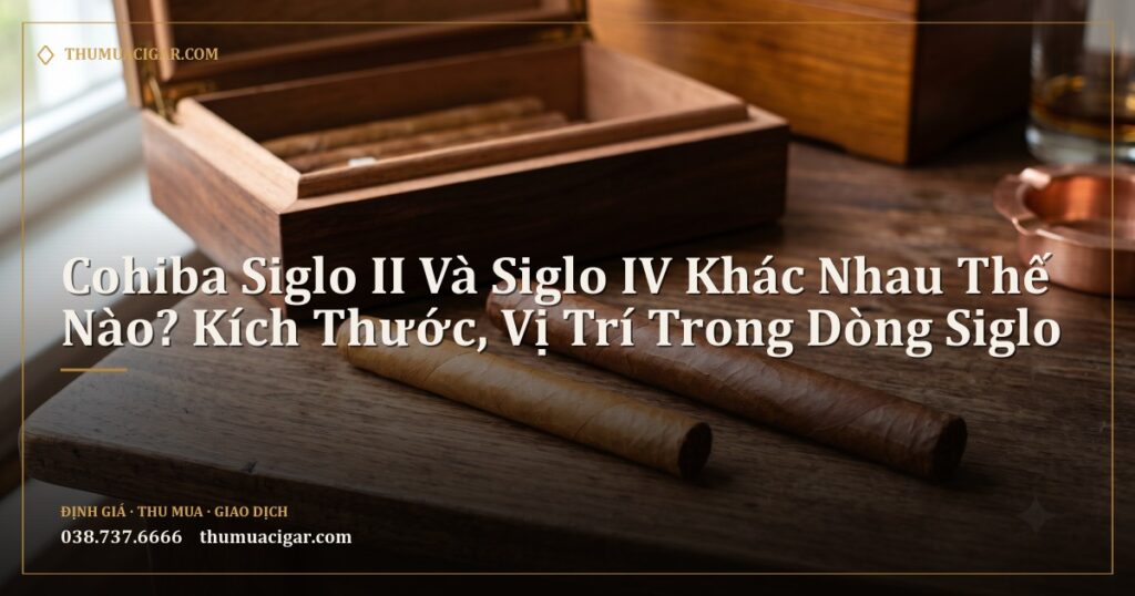 Hai điếu xì gà kích cỡ khác nhau cạnh hộp gỗ tuyết tùng