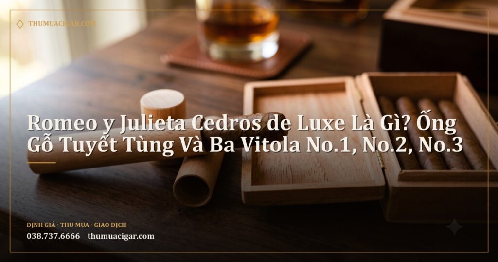 Điếu xì gà rút khỏi ống gỗ tuyết tùng cạnh hộp gỗ nhỏ