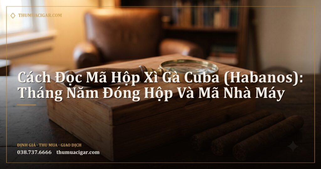 Kính lúp đặt trên hộp gỗ tuyết tùng cạnh vài điếu xì gà