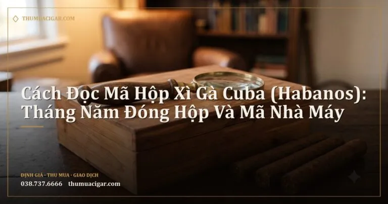 Kính lúp đặt trên hộp gỗ tuyết tùng cạnh vài điếu xì gà