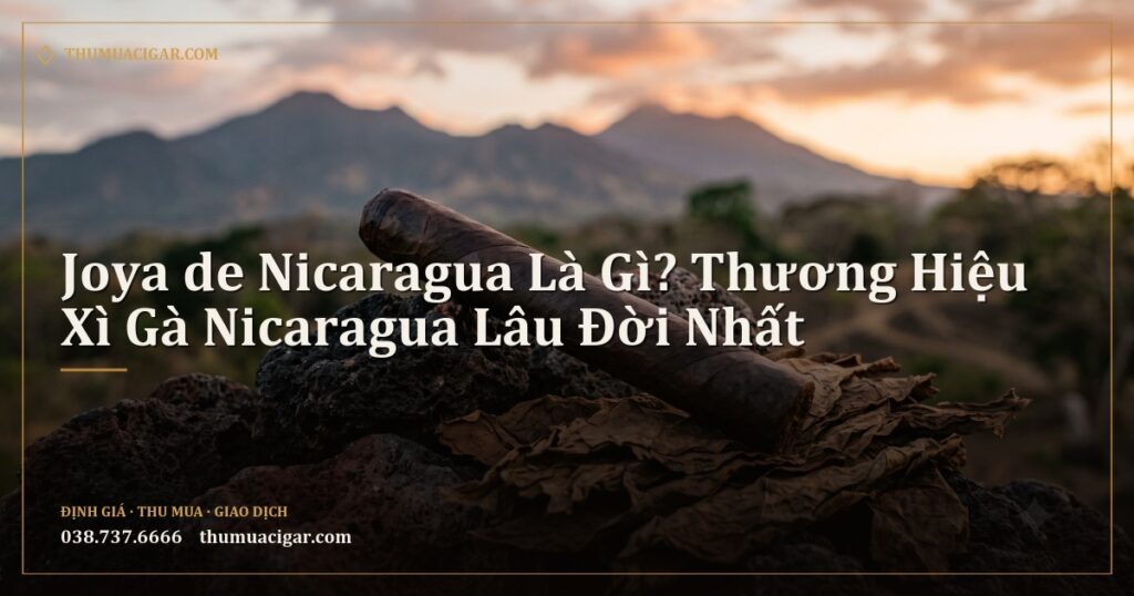 Điếu xì gà Corojo đen trên đá núi lửa và lá thuốc phơi khô