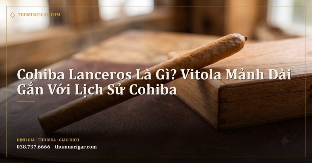 Điếu xì gà Lancero dài mảnh trên tấm da cạnh hộp gỗ nhỏ