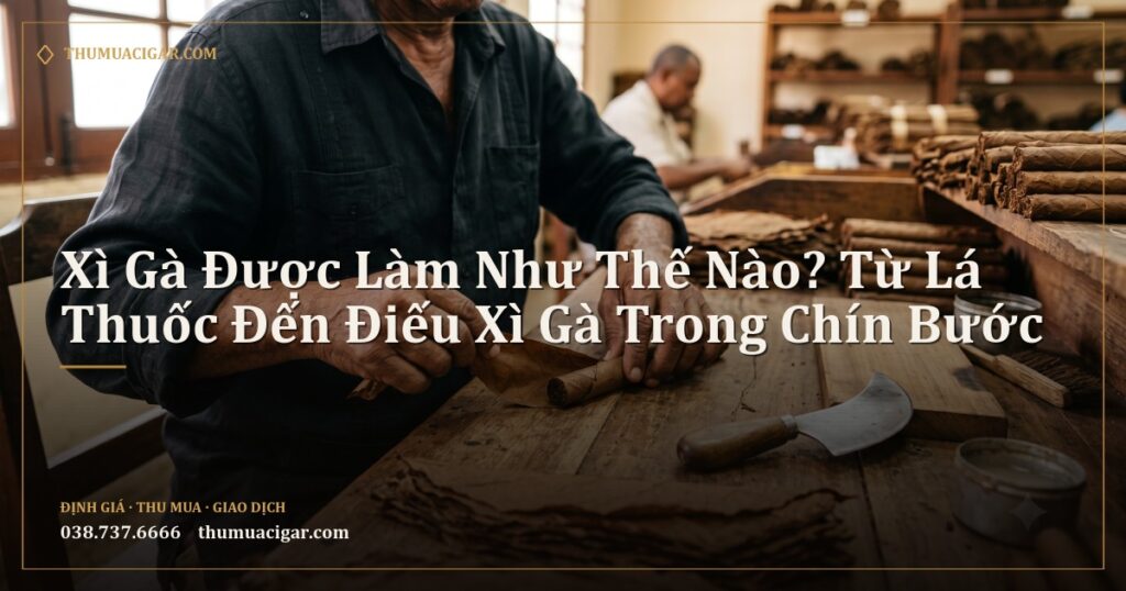 Bàn tay thợ cuốn xì gà cuốn thủ công cạnh lá thuốc