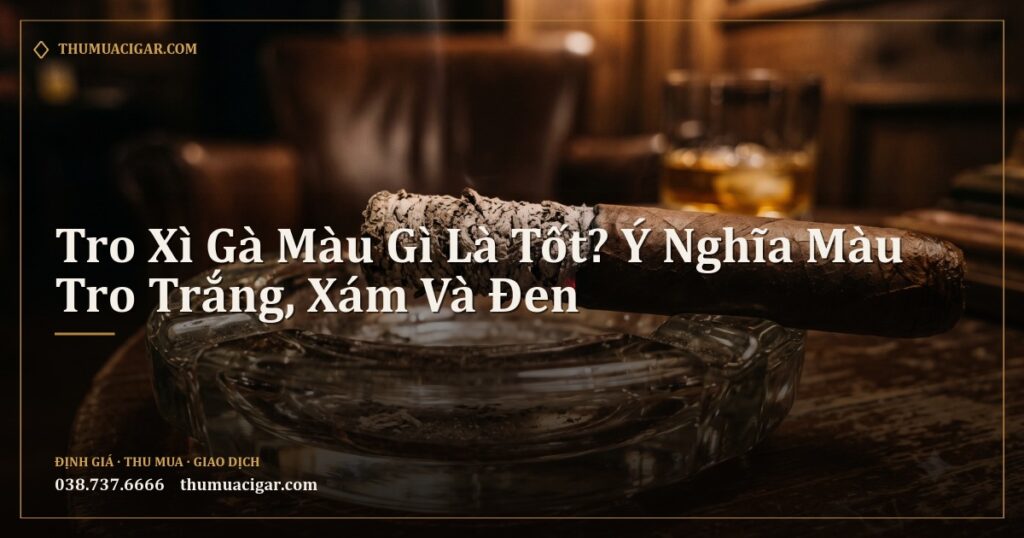 Điếu xì gà trên gạt tàn thủy tinh với cột tro dài