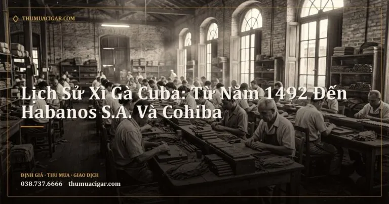 Xưởng cuốn xì gà cổ ở Havana, ảnh tông sepia