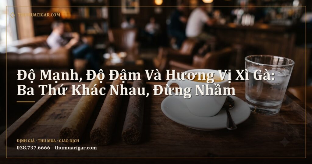 Ba điếu xì gà màu lá khác nhau cạnh tách cà phê espresso và ly nước