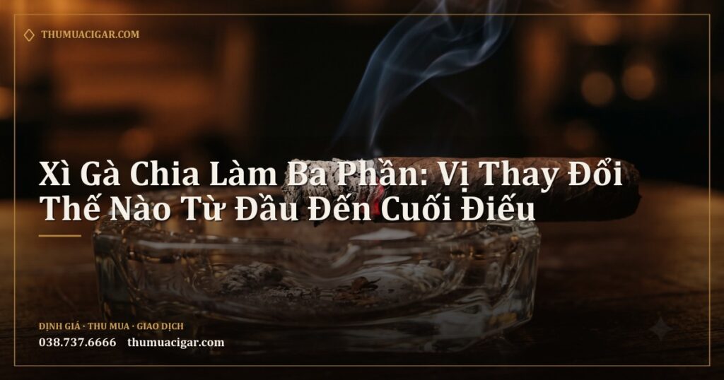 Điếu xì gà đang cháy dở trên gạt tàn thủy tinh với tro dài