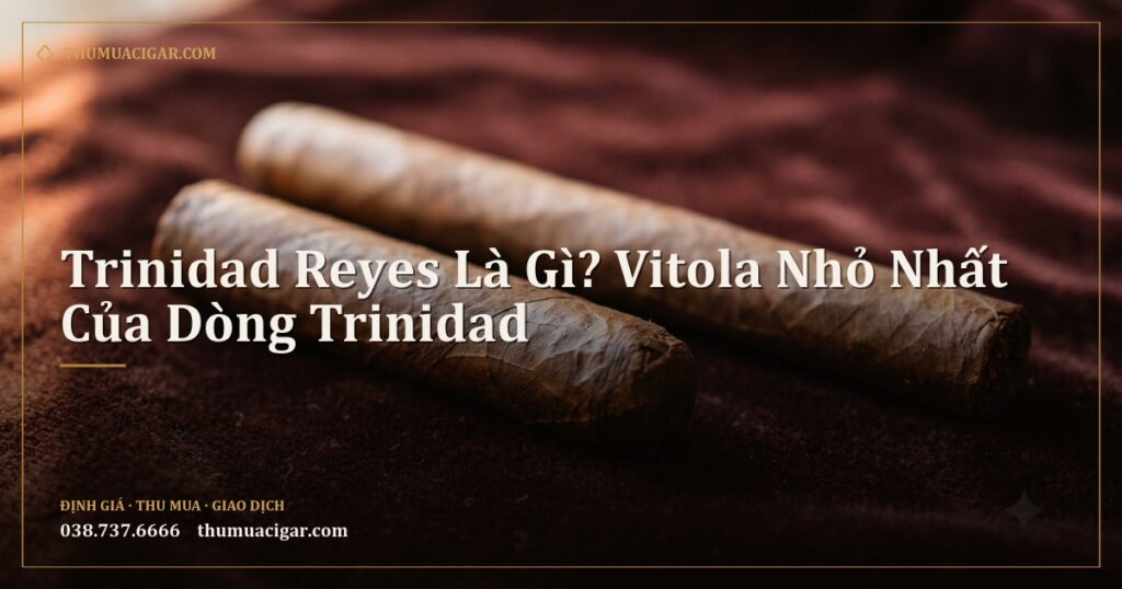 Hai điếu xì gà, một ngắn một dài, đặt trên nền nhung đỏ sẫm