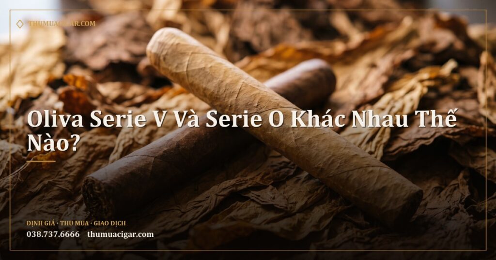 Hai điếu xì gà màu lá khác nhau đặt chéo trên nền lá thuốc khô
