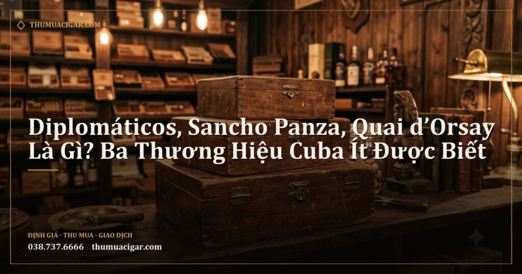 Ba hộp xì gà gỗ cổ xếp trên kệ trong cửa hàng cigar cổ điển