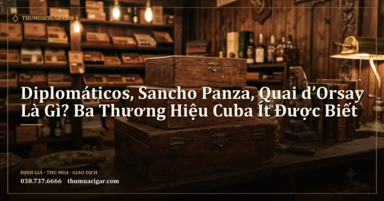 Ba hộp xì gà gỗ cổ xếp trên kệ trong cửa hàng cigar cổ điển