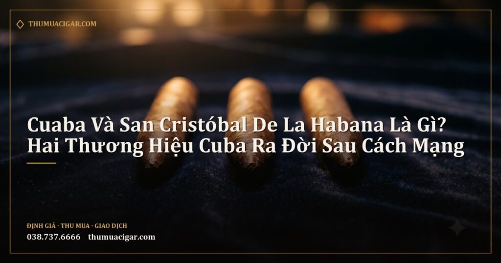 Ba điếu xì gà hình dạng perfecto đầu nhọn hai đầu trên nền nhung xanh