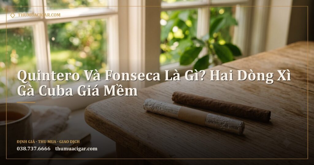 Hai điếu xì gà nhỏ, một điếu bọc ống giấy bạc, trên bàn gỗ cạnh cửa sổ