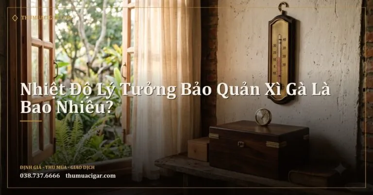Nhiệt kế cổ treo tường gần cửa sổ phía trên một chiếc humidor gỗ