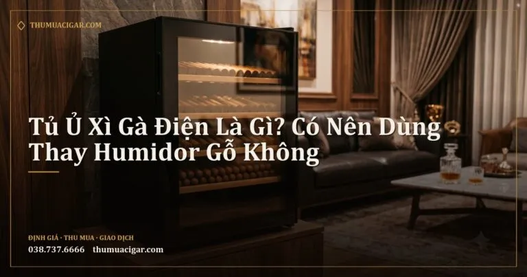 Tủ ủ xì gà điện mặt kính đen trong phòng khách sang trọng