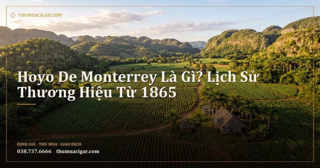 Thung lũng trồng thuốc lá ở Cuba nhìn từ trên cao với đồi núi bao quanh