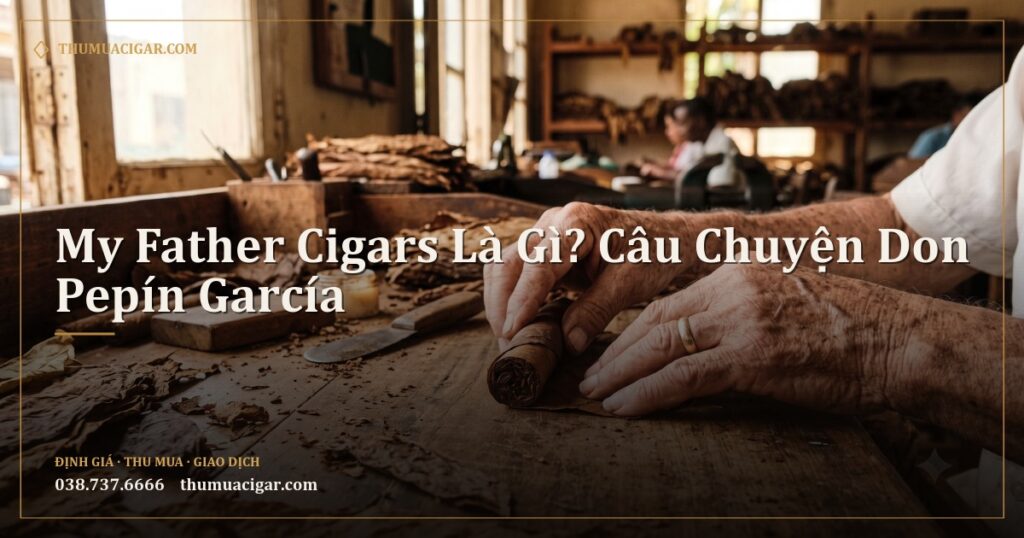 Bàn tay người thợ cuốn lớn tuổi đang cuốn xì gà giữa nhiều lá thuốc