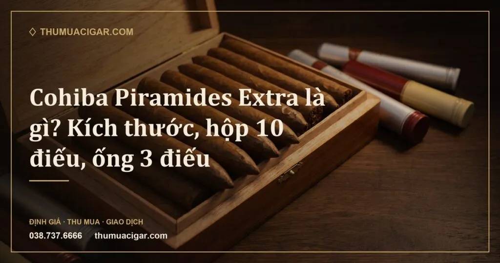 Xì gà dáng chóp nhọn xếp trong hộp gỗ tuyết tùng, bên cạnh vài ống nhôm (ảnh minh hoạ)