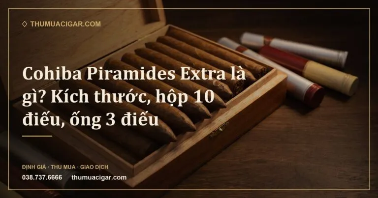 Xì gà dáng chóp nhọn xếp trong hộp gỗ tuyết tùng, bên cạnh vài ống nhôm (ảnh minh hoạ)