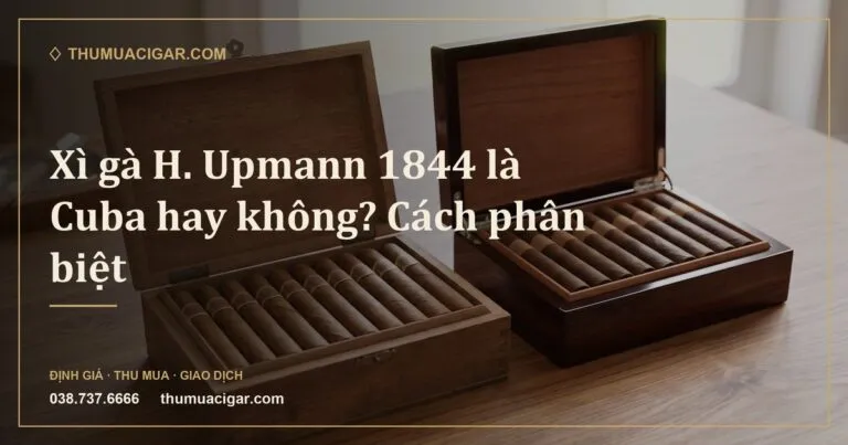 Hai hộp xì gà khác kiểu đặt cạnh nhau để so sánh (ảnh minh hoạ)