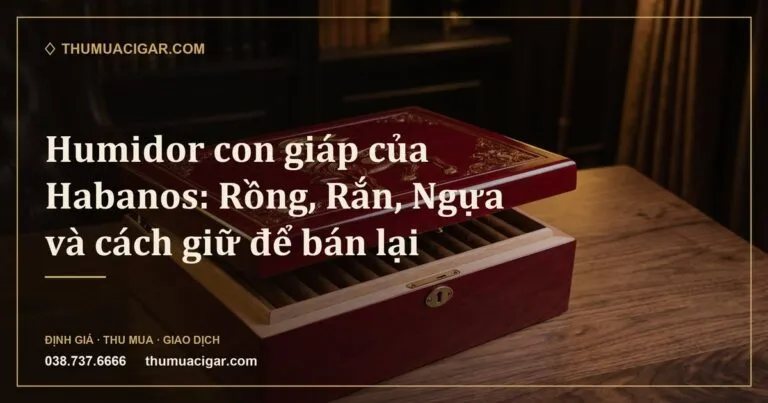 Hộp humidor sơn mài đỏ chạm hình con dê, mở hé thấy hàng xì gà bên trong (ảnh minh hoạ)