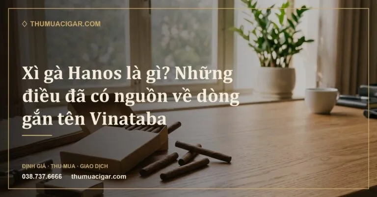 Hộp giấy trơn đựng xì gà cỡ nhỏ trên bàn làm việc (ảnh minh hoạ)