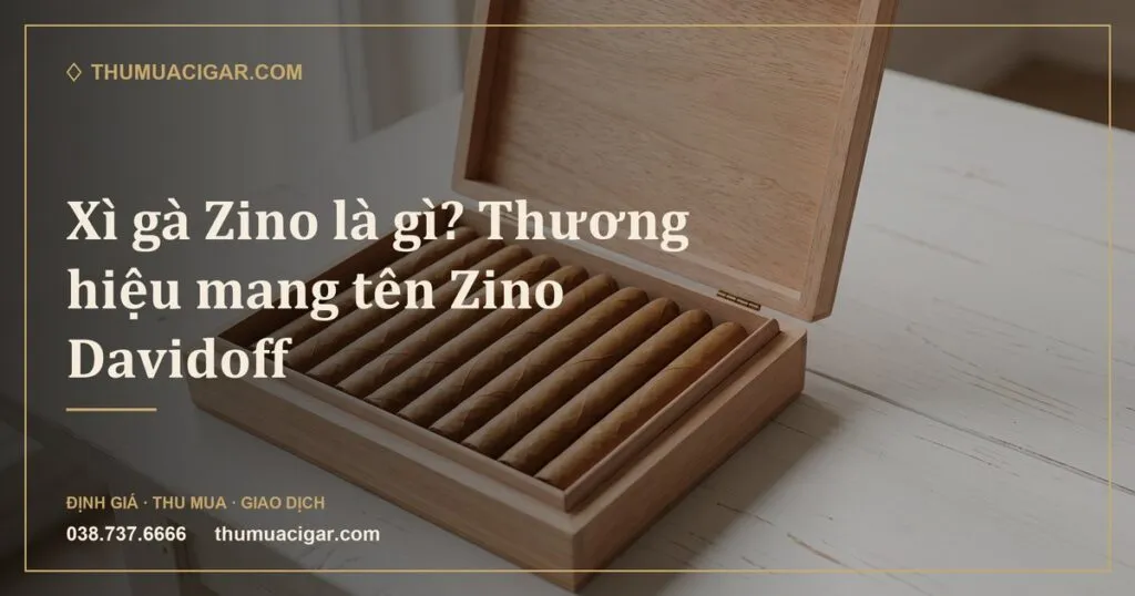 Xì gà áo lá nâu sáng trong hộp gỗ tuyết tùng màu sáng (ảnh minh hoạ)