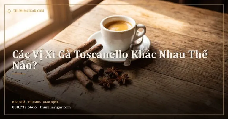 Các điếu xì gà Toscanello nhỏ bên tách espresso và hoa hồi trên bàn gỗ