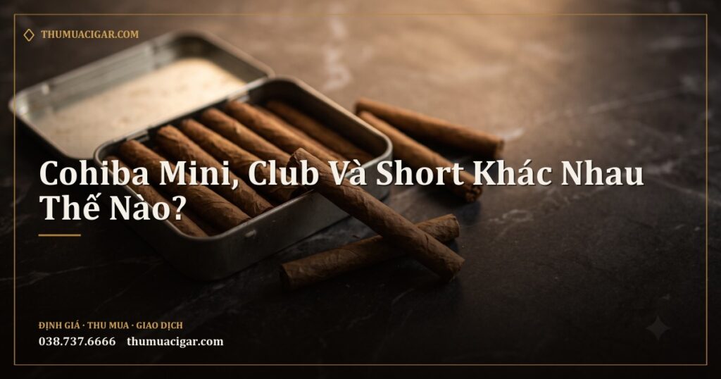 Những điếu xì gà nhỏ cỡ cigarillo trong hộp thiếc mở nắp trên mặt đá tối