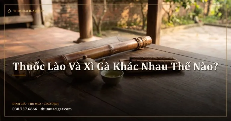 Điếu cày tre, ấm trà xanh và hai điếu xì gà trên phản gỗ hiên nhà