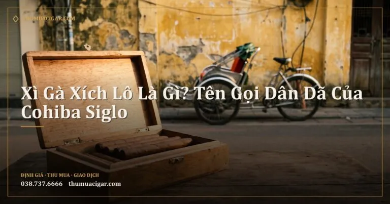 Hộp xì gà gỗ trên bàn quán vỉa hè, phía sau là chiếc xích lô trên phố cổ Hà Nội